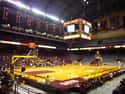 Williams Arena on Random Best College Basketball Arenas