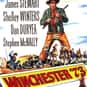 Winchester '73 is listed (or ranked) 6 on the list Filmsite's Greatest Films of the 50's