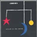 Wired to the Moon on Random Best Chris Rea Albums