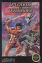 Wizards & Warriors on Random Single NES Game
