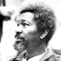 age 84   Akinwande Oluwole "Wole" Babatunde Soyinka is a Nigerian playwright and poet. He was awarded the 1986 Nobel Prize in Literature, the first African to be honored.