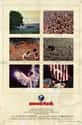 Woodstock on Random Best Oscar-Winning Documentaries
