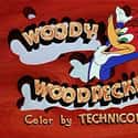 Woody Woodpecker on Random Best Bird Characters In Cartoons And Comics