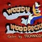 The New Woody Woodpecker Show, The Loan Stranger, Fair Weather Fiends