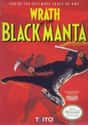 Wrath of the Black Manta on Random Single NES Game