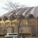 WVU Coliseum on Random Best College Basketball Arenas