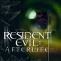 Resident Evil: Afterlife on Random Best Zombie Movies On Netflix