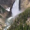Yellowstone River on Random Best U.S. Rivers for Fly Fishing