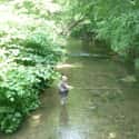 Yellow Breeches Creek on Random Best U.S. Rivers for Fly Fishing