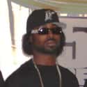 Hip hop music, Hardcore hip hop, Southern hip hop   David Darnell Brown, also known as Young Buck, is an American rapper, actor, entrepreneur, and producer. Buck is a former member of the hip hop group UTP Playas.