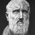 Dec. at 72 (333 BC-261 BC)   Zeno of Citium was a Greek thinker from Citium, Cyprus. He was possibly of Phoenician descent.