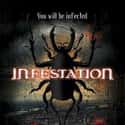 Linda Park, Brooke Nevin, Ray Wise   Infestation is a 2009 Horror-Comedy feature film by American writer/director Kyle Rankin. It was produced by Mel Gibson's Icon Entertainment and starring Chris Marquette, E.