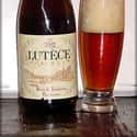 Brasserie de Lutèce Lutèce Pur Malt on Random Best French Beers