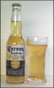 Cerveceria Modelo Corona Extra on Random Best Beers for a Party