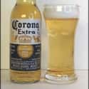 Cerveceria Modelo Corona Extra on Random Best Beers for a Party