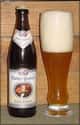 Hacker-Pschorr Hefe Weisse on Random Best German Beers