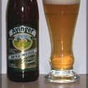 Ayinger Brau-Weisse on Random Best German Beers