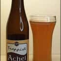 Achel 8 Blonde on Random Best Belgian Beers