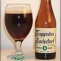 Rochefort 8 on Random Best Belgian Beers