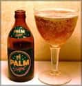 Palm Dobbel on Random Best Belgian Beers