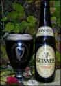 Guinness Special Export Stout on Random Best Keg Beers