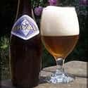 Orval on Random Best Beers from Around World
