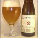Westmalle Tripel on Random Best Belgian Beers