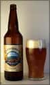 Cannery Brewing Company Giants Head Gold Canadian Ale on Random Best Canadian Beers