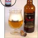 Moortgat Duvel on Random Best Belgian Beers