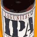 Lagunitas IPA India Pale Ale on Random Best Beer Brands