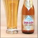 Cerveceria de Canarias Dorada Especial on Random Top Beers from Spain