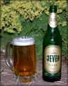 Jever Pilsener on Random Best German Beers
