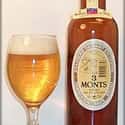 Saint Sylvestre 3 Monts on Random Best French Beers
