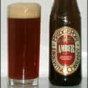 Bridgeport Brewery Amber on Random Best American Beers