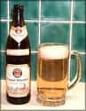 Paulaner Original Münchner Premium Lager on Random Best German Beers
