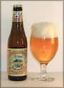 Bosteels Tripel Karmeliet on Random Best Belgian Beers