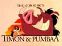Timon & Pumbaa on Random Best TV Shows You Can Watch On Disney+
