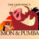Timon & Pumbaa on Random Best Disney Shows of the '90s