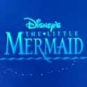 The Little Mermaid on Random Best Disney Shows of the '90s