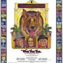 Teri Garr, Bruce Dern, Zsa Zsa Gábor   Won Ton Ton, the Dog Who Saved Hollywood is a 1976 film directed by Michael Winner and starring Madeline Kahn, Bruce Dern, Teri Garr, and Art Carney.