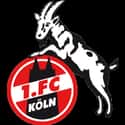 1. FC Köln on Random Best Current Soccer (Football) Teams