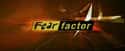 Fear Factor on Random Best Current MTV Shows