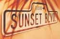 Christopher Hampton , Don Black , Andrew Lloyd Webber   Sunset Boulevard is a musical with book and lyrics by Don Black and Christopher Hampton and music by Andrew Lloyd Webber.