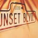 Christopher Hampton , Don Black , Andrew Lloyd Webber   Sunset Boulevard is a musical with book and lyrics by Don Black and Christopher Hampton and music by Andrew Lloyd Webber.
