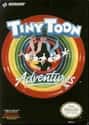 Tiny Toon Adventures on Random Single NES Game