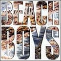 The Beach Boys on Random Best Beach Boys Albums