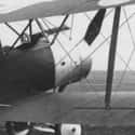 Sopwith 1½ Strutter on Random Best World War 1 Airplanes