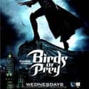 Ashley Scott, Dina Meyer, Rachel Skarsten   Birds of Prey is a television drama series produced in 2002. The series was developed by Laeta Kalogridis for The WB and is loosely based on the Birds of Prey DC Comics series.