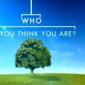 Who Do You Think You Are? on Random Best Current Reality Shows That Make You A Better Person