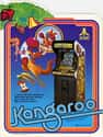Kangaroo on Random Best Classic Arcade Games